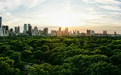 New York State of Mind – Central Park from High Above